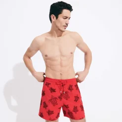 Homme Vilebrequin L'Iconique Moorea^Maillot De Bain Homme Ronde Des Tortues Flocke