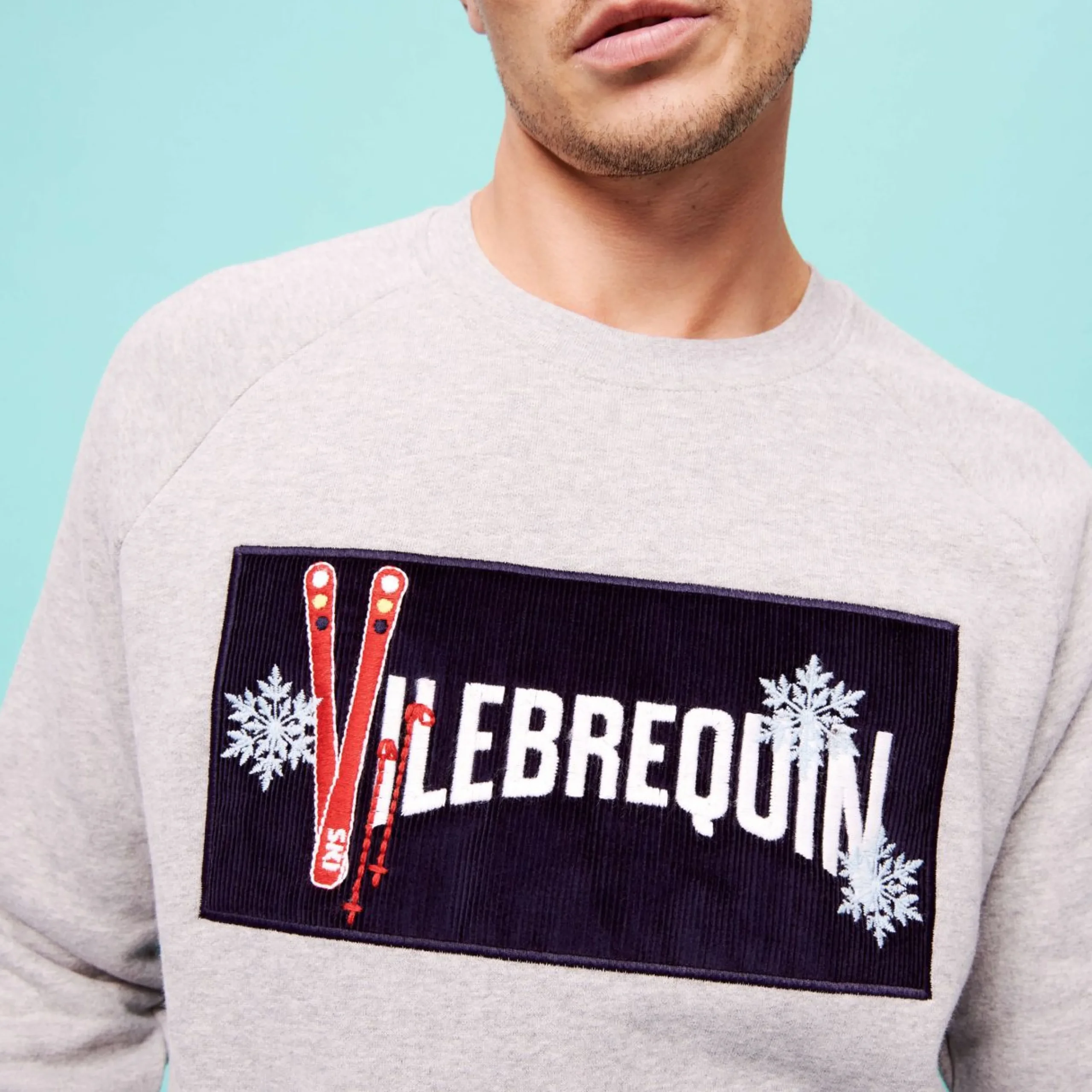 Homme Vilebrequin Sweats^Pull En Coton Homme Logo Brodé Velours