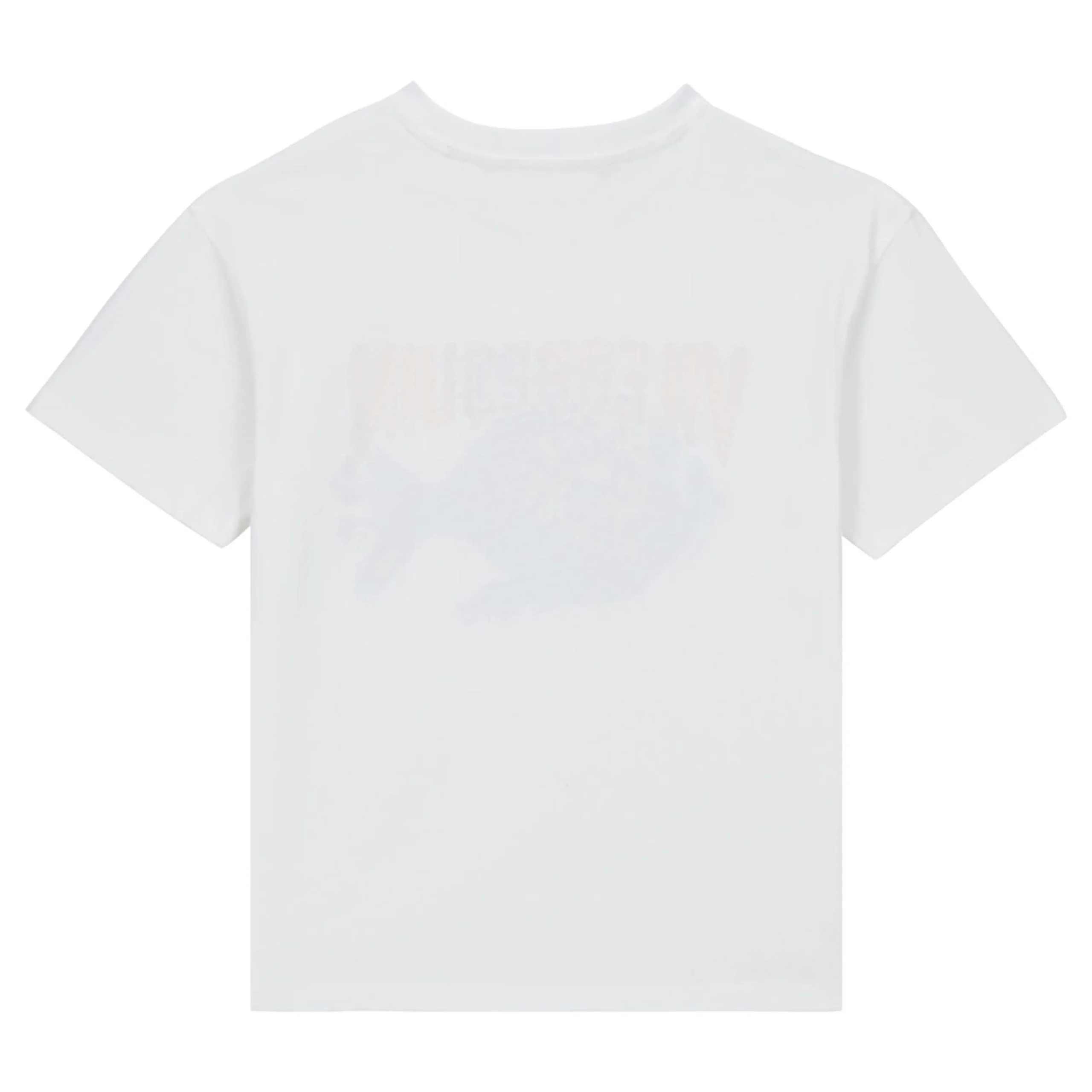 Garçon Vilebrequin T-Shirts^T-Shirt En Coton Garçon Vbq Fish